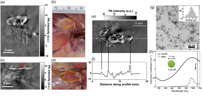 M-NANO 20 … 100mJ Nd:YAG DPSSL光纤输出插图14